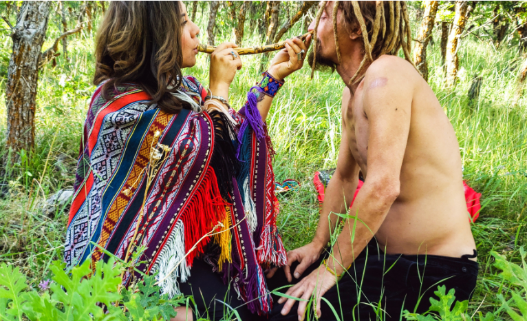Ayahuasca in Traditional Medicine
