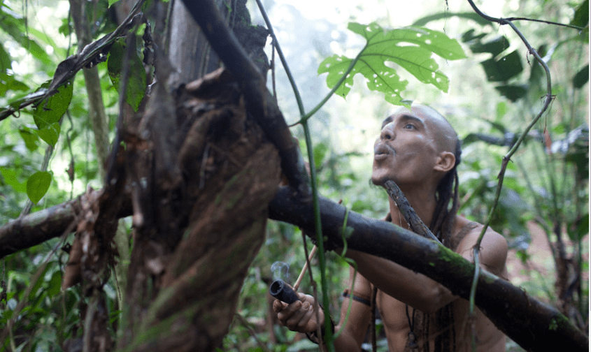 Role of Ayahuasca in Traditional Medicine