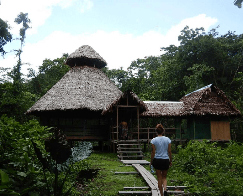 ayahuasca Ceremony